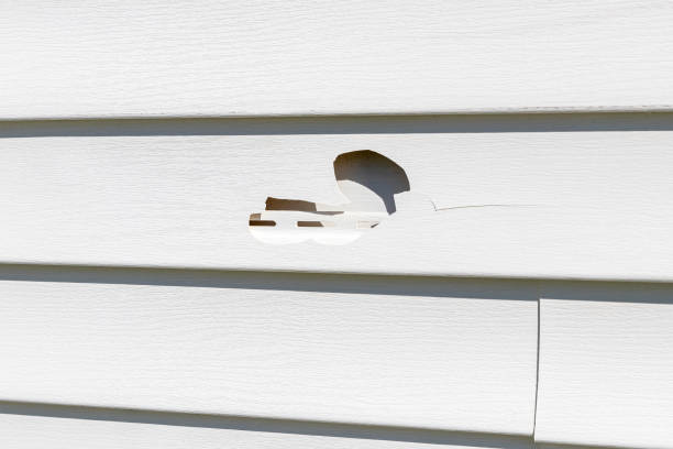 Professional Siding Installation & Repair in Richmond, KY